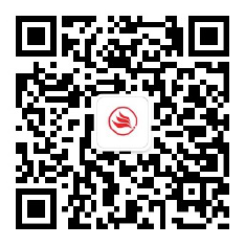 山东GA黄金甲